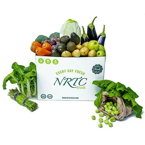 Power Plant Box 10kg